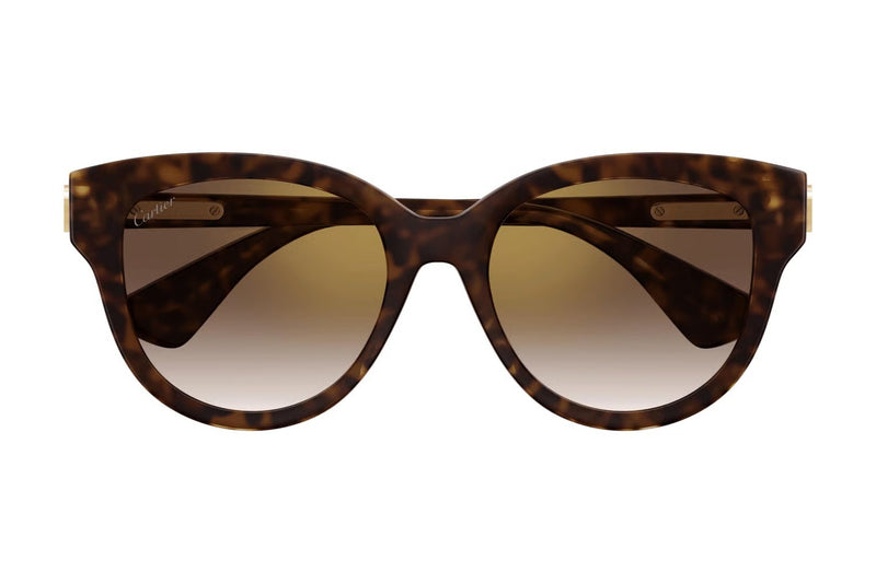 Cartier CT0506SA Havana / Brown sunglasses, front view