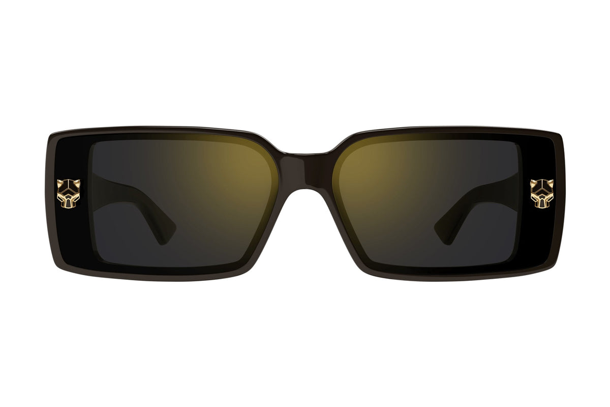 Cartier CT0358S Black / Grey sunglasses, front view