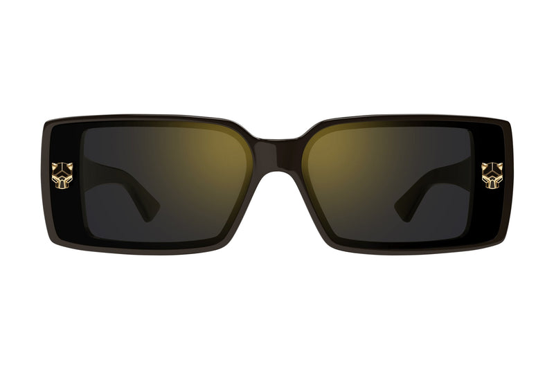 Cartier CT0358S Black / Grey sunglasses, front view