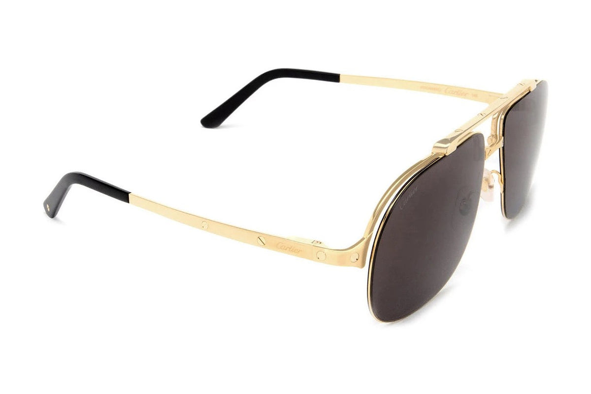 Cartier CT0353S Gold / Grey sunglasses, side view