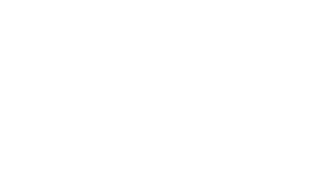 Maui Jim